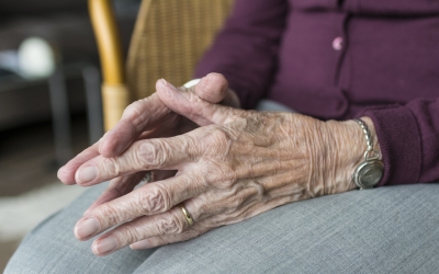 Kļūsti par Eņģeli kādam senioram, visa gada garumā