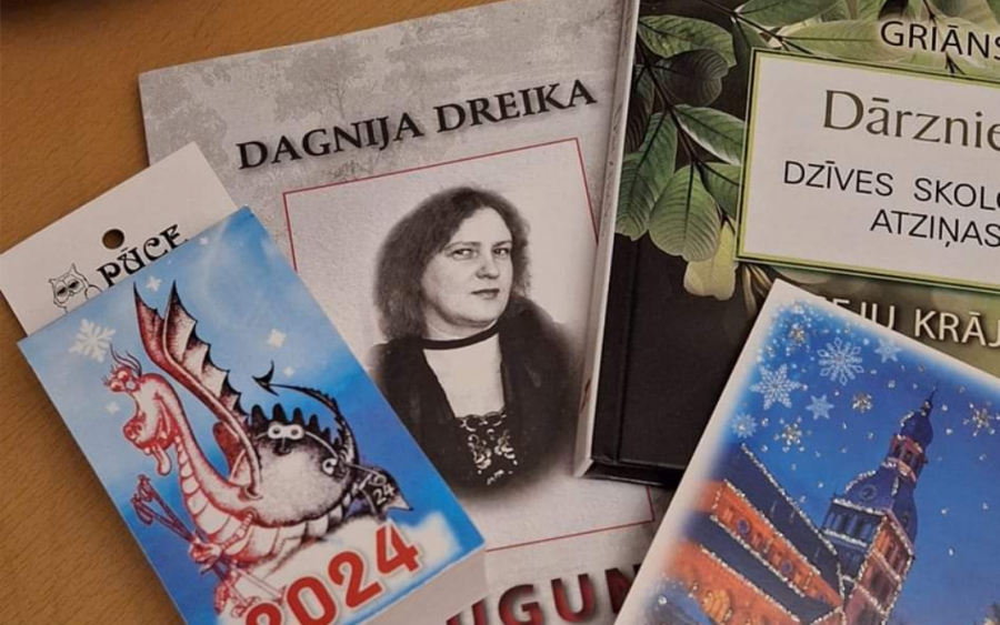 Intara stāsts par Ziemassvētku pārsteigumu Skaidrītei